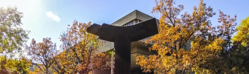 法学院/校园实景