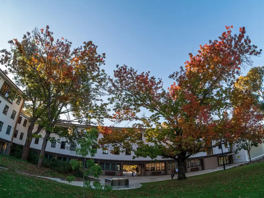 法学院代表建筑