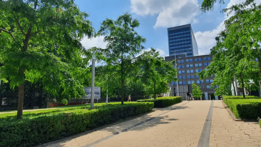 校园林荫步道·教学楼远景